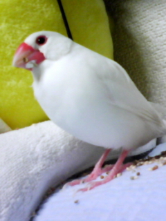・∋{食欲の秋♪