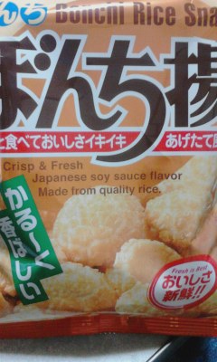 ぼんち