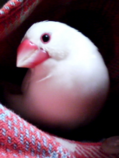 ・∋{ストーブつけてよ