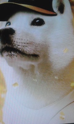 なんダ