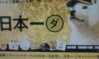 日本一ダ