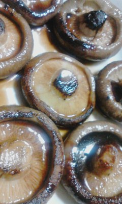 椎茸