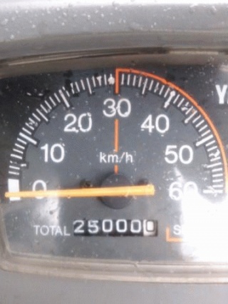25000.0キロ