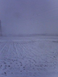 雪