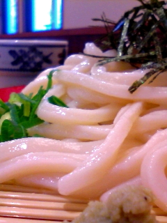 ザルードン