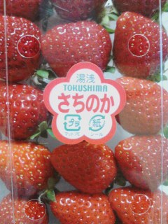 いちご