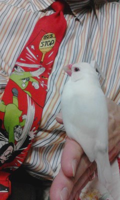 ・∋{くつろぎtime