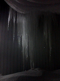 はなげぼーぼー