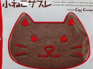 子猫