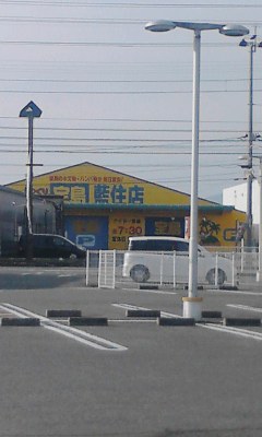 宝島