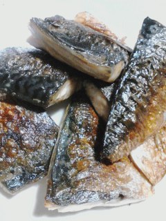 塩鯖
