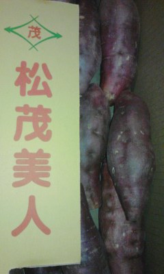 松茂美人