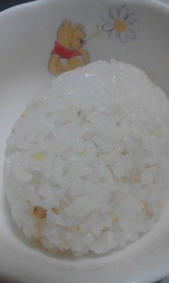 玄米ご飯
