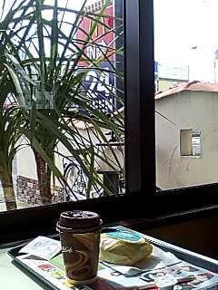 朝