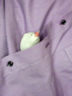 ・∋{春シャツ