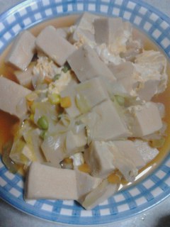 高野豆腐