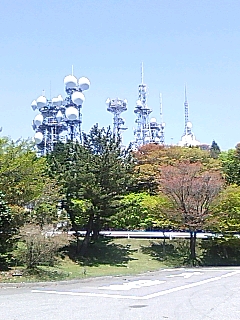 電波ゆんゆん