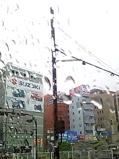 雨