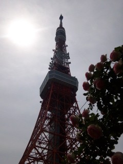 とう