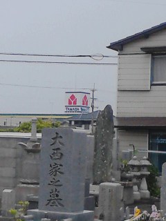 ヤマダデンキ