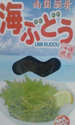海ぶどう