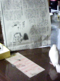 ・∋{新聞を読む