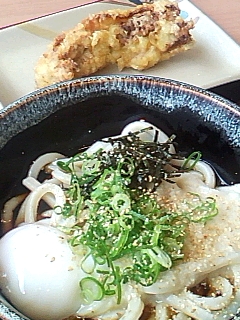 とろ玉＋鶏天