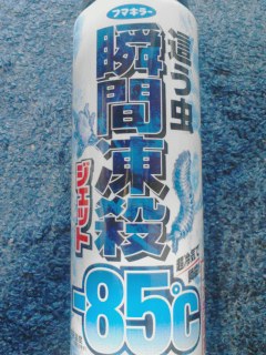 瞬間凍殺