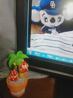シーサー