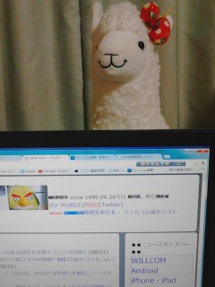 アルパカ