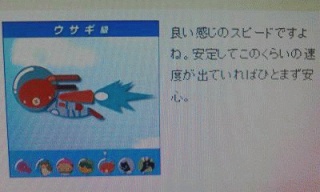 ウサギ