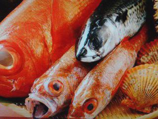 魚