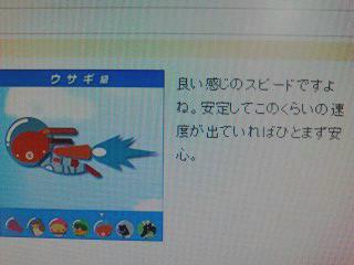 ウサギ