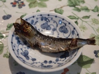魚