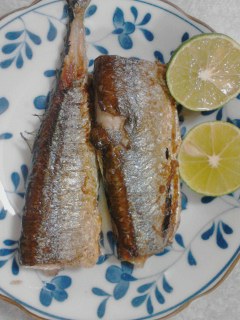 お魚
