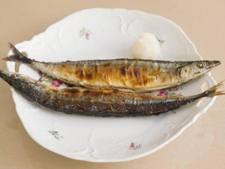 魚