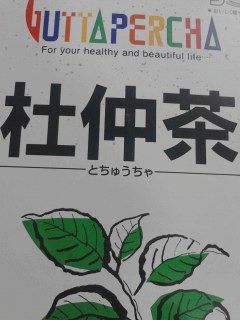 杜仲茶