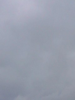 雨