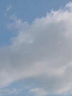 雲
