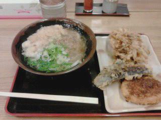 うどん