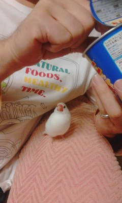;・∋{遅れた