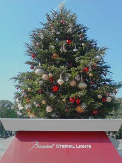 クリスマス