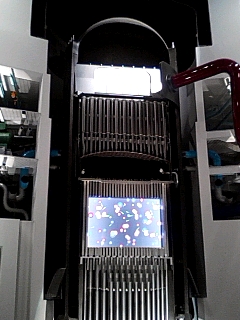 模型