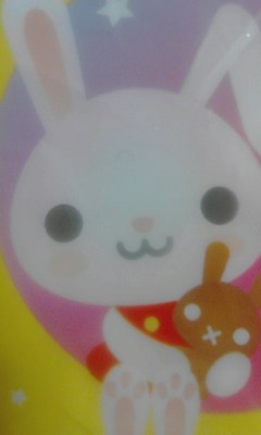 うさぎ