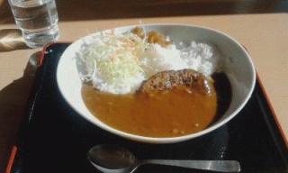 ハンバーグカレー