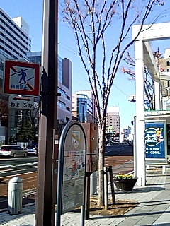 わたるな