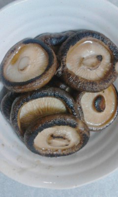 椎茸