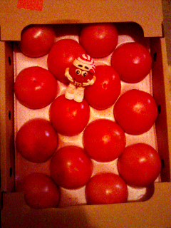 トマト大箱買い