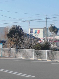 ディオ