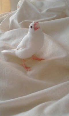 ・∋{散歩